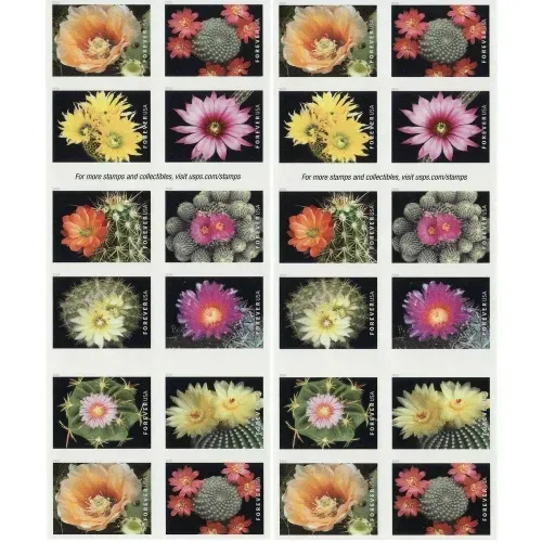 Cactus Flowers 2019 - 5 Booklets 100 Pcs Unused Stamps for Mailing